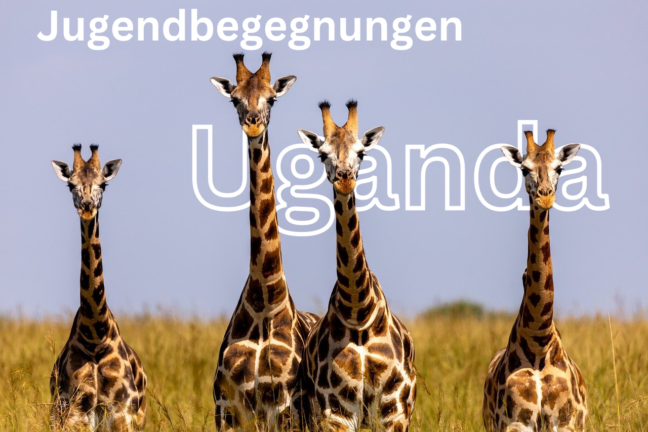 Jugendbegegnungen in Uganda